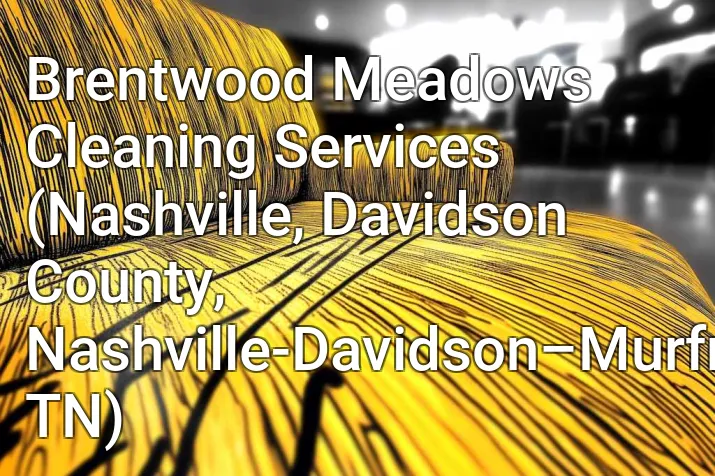 Brentwood Meadows Cleaning Services (Nashville, Davidson County, Nashville-Davidson–Murfreesboro–Franklin, TN)