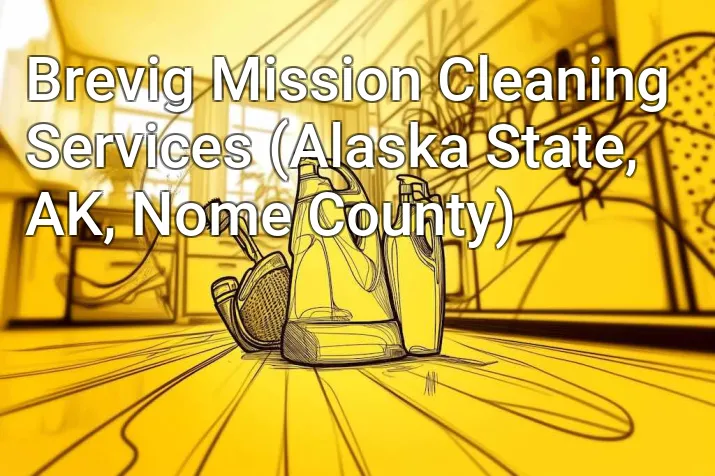 Brevig Mission Cleaning Services (Alaska State, AK, Nome County)