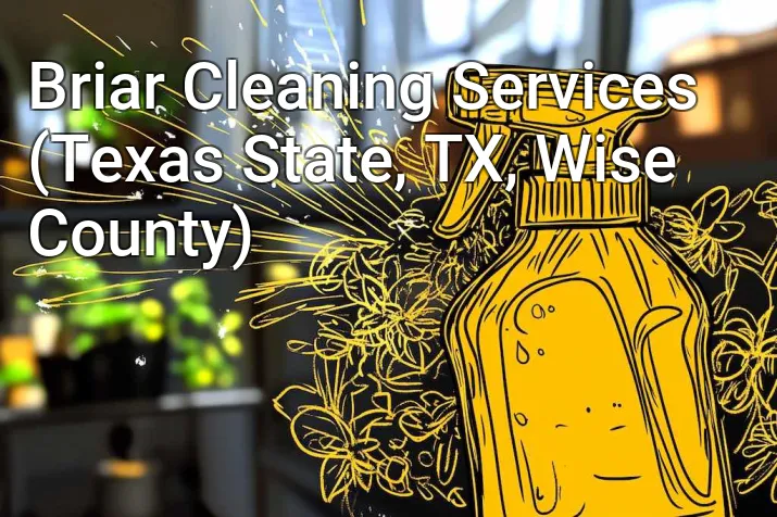 Briar Cleaning Services (Texas State, TX, Wise County)