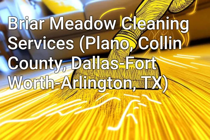 Briar Meadow Cleaning Services (Plano, Collin County, Dallas-Fort Worth-Arlington, TX)
