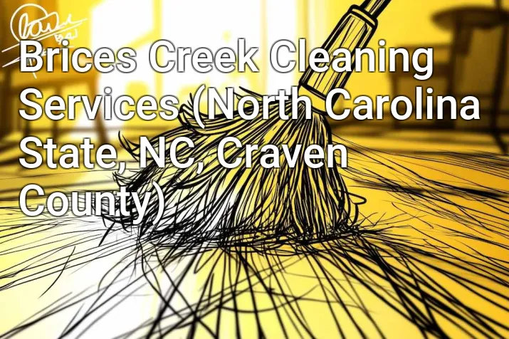 Brices Creek Cleaning Services (North Carolina State, NC, Craven County)