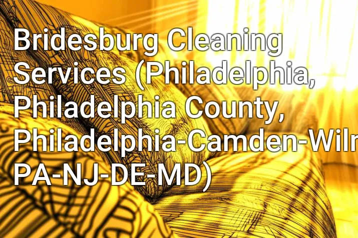 Bridesburg Cleaning Services (Philadelphia, Philadelphia County, Philadelphia-Camden-Wilmington, PA-NJ-DE-MD)
