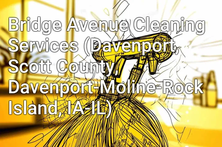 Bridge Avenue Cleaning Services (Davenport, Scott County, Davenport-Moline-Rock Island, IA-IL)