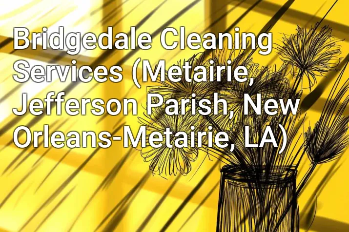 Bridgedale Cleaning Services (Metairie, Jefferson Parish, New Orleans-Metairie, LA)