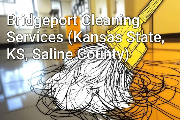 Bridgeport Cleaning Services (Kansas State, KS, Saline County)