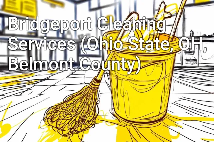Bridgeport Cleaning Services (Ohio State, OH, Belmont County)