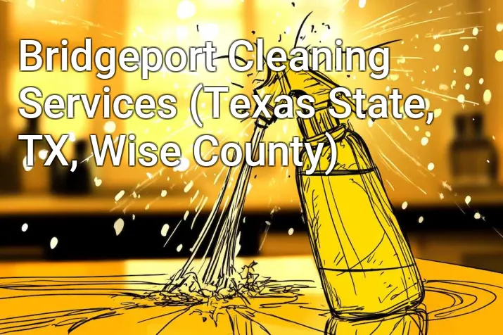 Bridgeport Cleaning Services (Texas State, TX, Wise County)