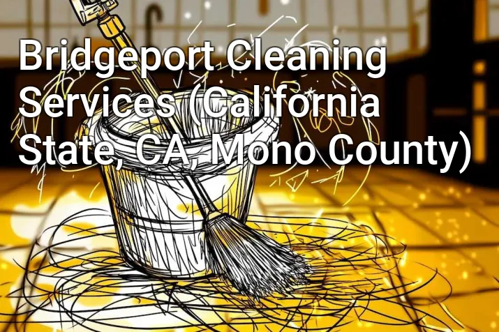 Bridgeport Cleaning Services (California State, CA, Mono County)