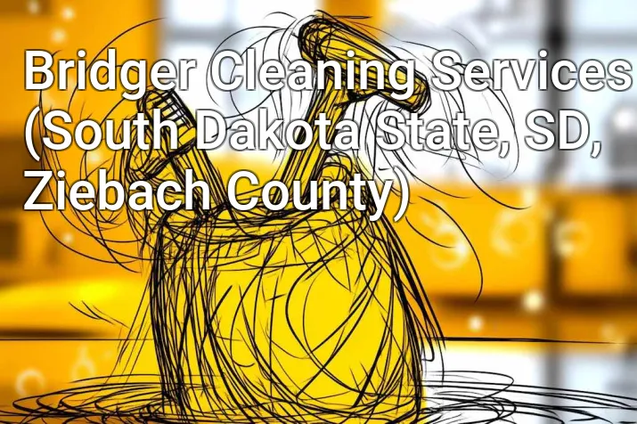 Bridger Cleaning Services (South Dakota State, SD, Ziebach County)