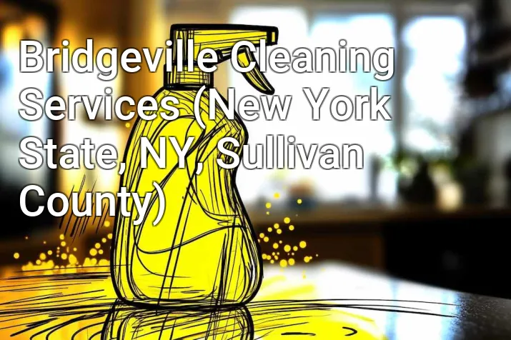Bridgeville Cleaning Services (New York State, NY, Sullivan County)