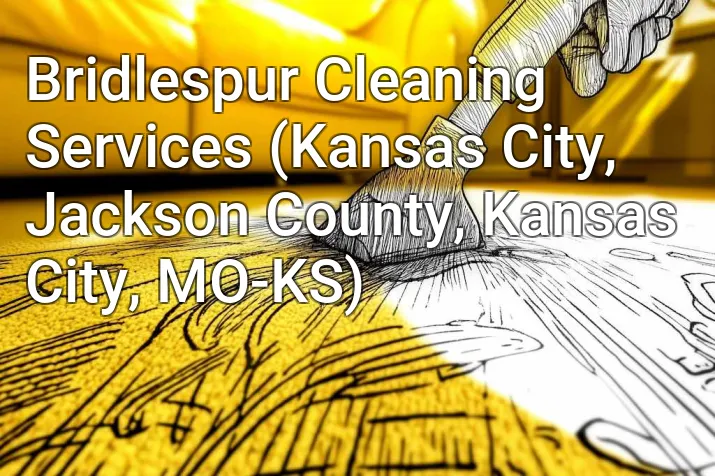 Bridlespur Cleaning Services (Kansas City, Jackson County, Kansas City, MO-KS)