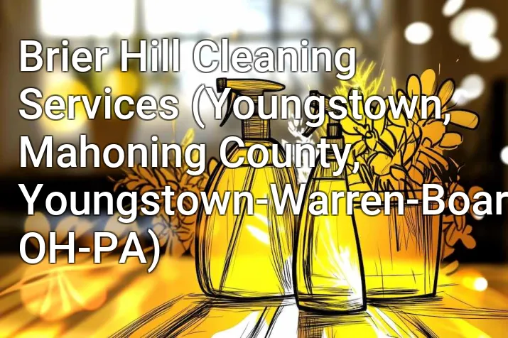 Brier Hill Cleaning Services (Youngstown, Mahoning County, Youngstown-Warren-Boardman, OH-PA)