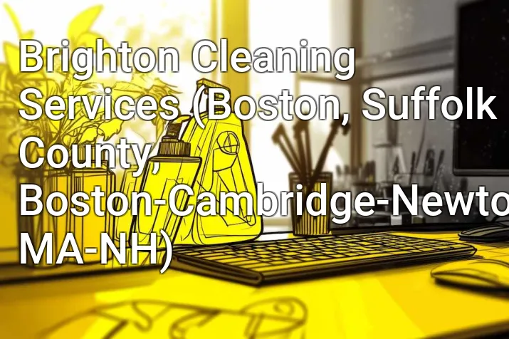 Brighton Cleaning Services (Boston, Suffolk County, Boston-Cambridge-Newton, MA-NH)