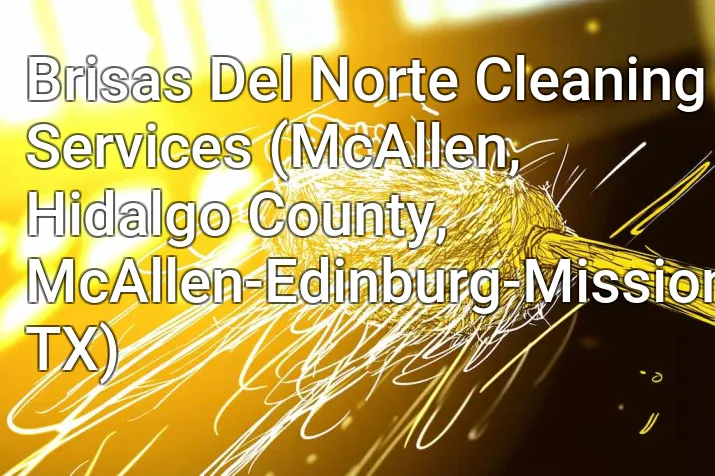 Brisas Del Norte Cleaning Services (McAllen, Hidalgo County, McAllen-Edinburg-Mission, TX)