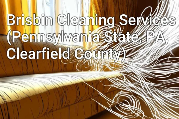 Brisbin Cleaning Services (Pennsylvania State, PA, Clearfield County)