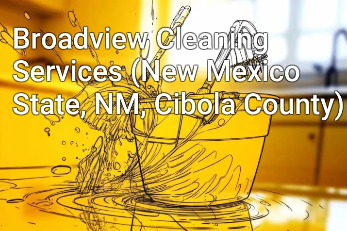 Broadview Cleaning Services (New Mexico State, NM, Cibola County)