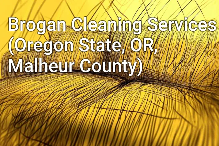 Brogan Cleaning Services (Oregon State, OR, Malheur County)