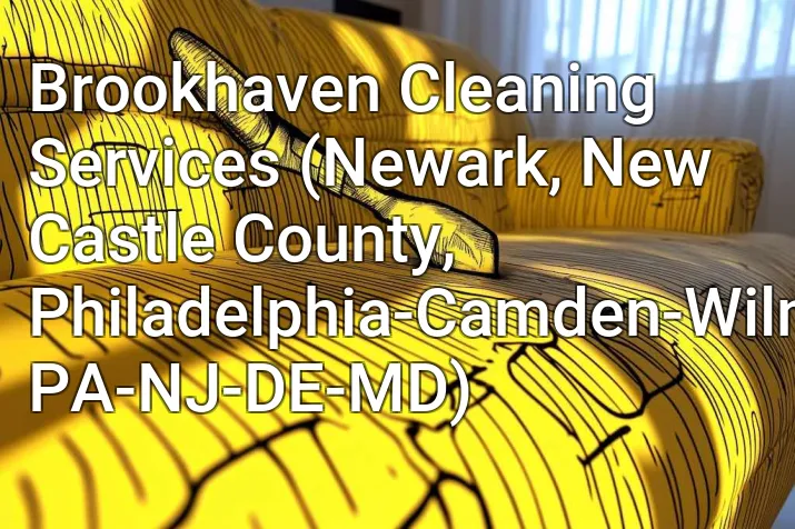 Brookhaven Cleaning Services (Newark, New Castle County, Philadelphia-Camden-Wilmington, PA-NJ-DE-MD)