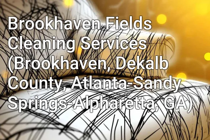 Brookhaven Fields Cleaning Services (Brookhaven, Dekalb County, Atlanta-Sandy Springs-Alpharetta, GA)