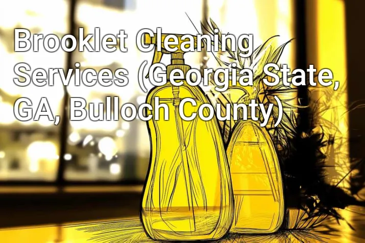 Brooklet Cleaning Services (Georgia State, GA, Bulloch County)
