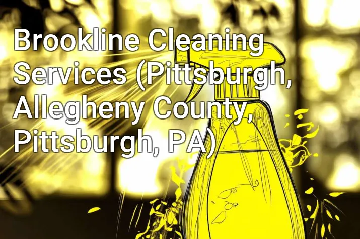 Brookline Cleaning Services (Pittsburgh, Allegheny County, Pittsburgh, PA)