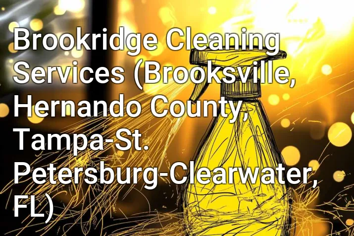 Brookridge Cleaning Services (Brooksville, Hernando County, Tampa-St. Petersburg-Clearwater, FL)
