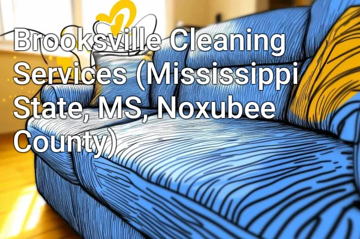 Brooksville Cleaning Services (Mississippi State, MS, Noxubee County)