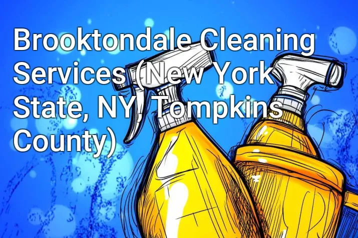Brooktondale Cleaning Services (New York State, NY, Tompkins County)