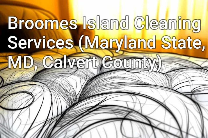 Broomes Island Cleaning Services (Maryland State, MD, Calvert County)