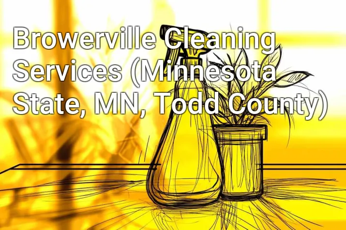 Browerville Cleaning Services (Minnesota State, MN, Todd County)