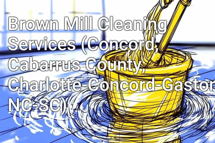 Brown Mill Cleaning Services (Concord, Cabarrus County, Charlotte-Concord-Gastonia, NC-SC)