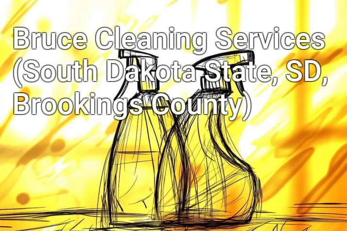 Bruce Cleaning Services (South Dakota State, SD, Brookings County)