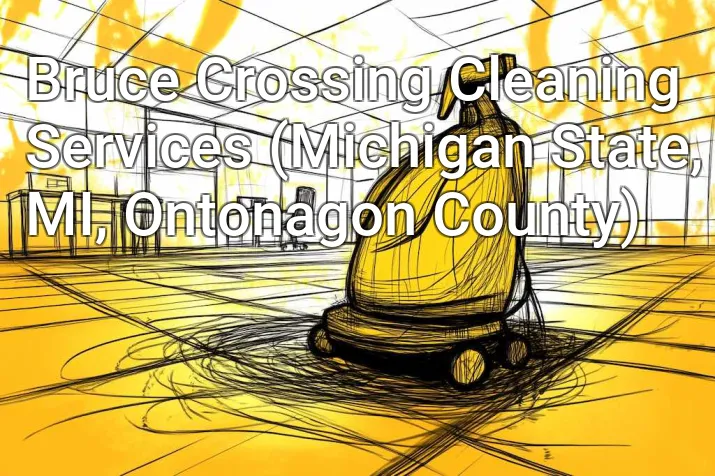 Bruce Crossing Cleaning Services (Michigan State, MI, Ontonagon County)