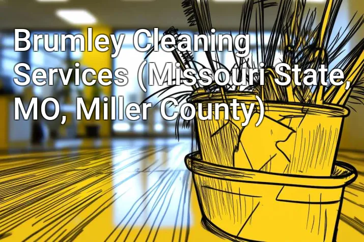 Brumley Cleaning Services (Missouri State, MO, Miller County)