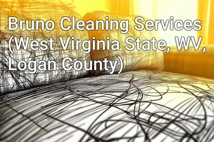 Bruno Cleaning Services (West Virginia State, WV, Logan County)