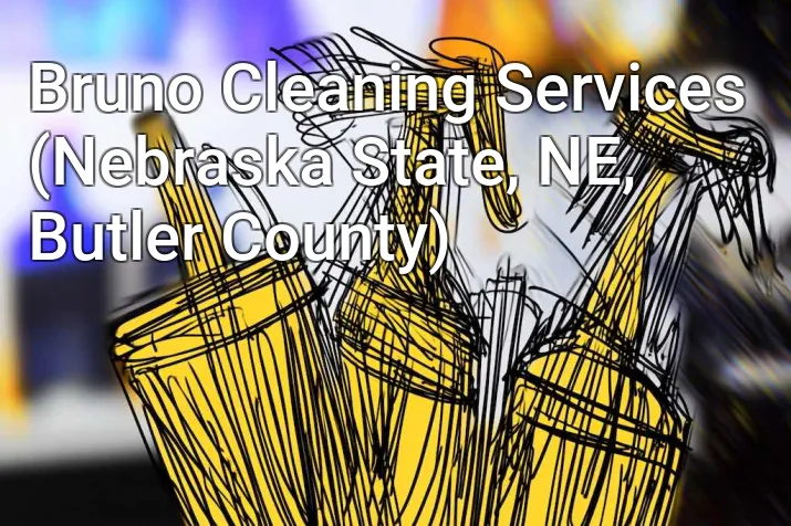 Bruno Cleaning Services (Nebraska State, NE, Butler County)