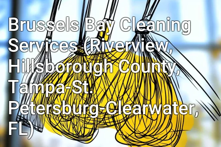 Brussels Bay Cleaning Services (Riverview, Hillsborough County, Tampa-St. Petersburg-Clearwater, FL)