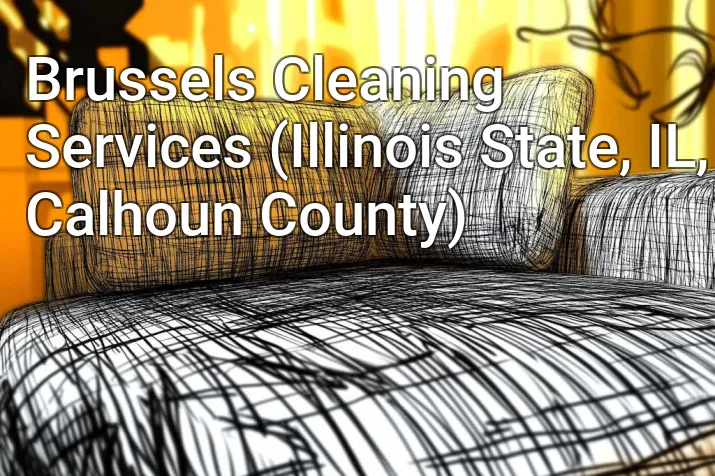 Brussels Cleaning Services (Illinois State, IL, Calhoun County)