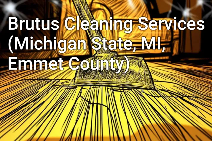 Brutus Cleaning Services (Michigan State, MI, Emmet County)