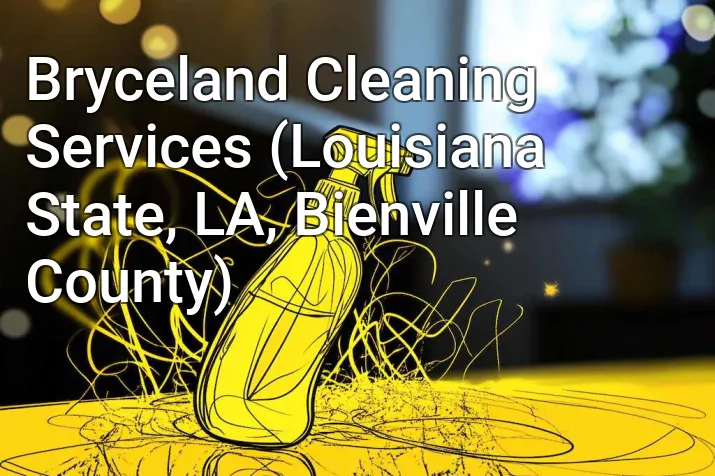 Bryceland Cleaning Services (Louisiana State, LA, Bienville County)