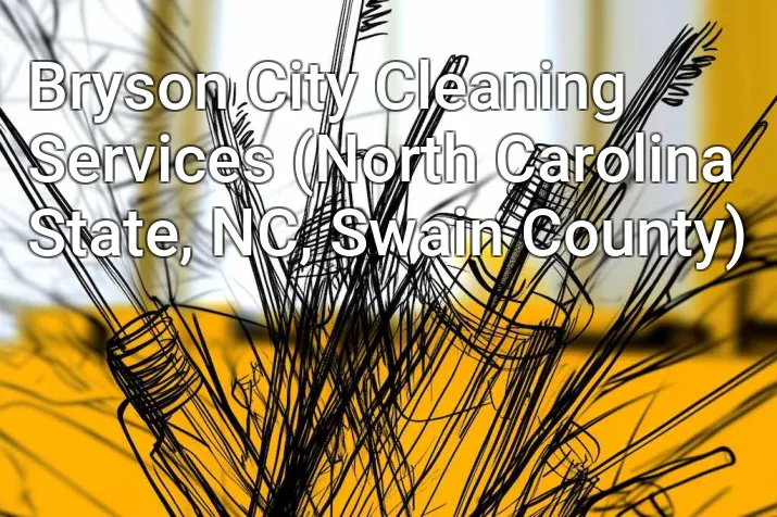 Bryson City Cleaning Services (North Carolina State, NC, Swain County)
