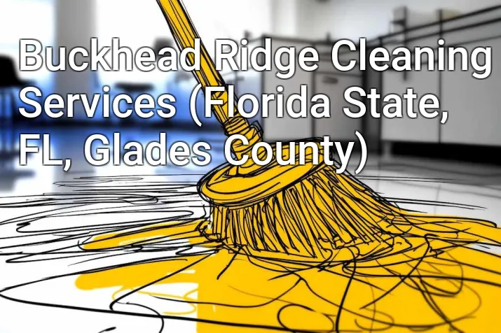 Buckhead Ridge Cleaning Services (Florida State, FL, Glades County)