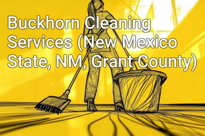 Buckhorn Cleaning Services (New Mexico State, NM, Grant County)