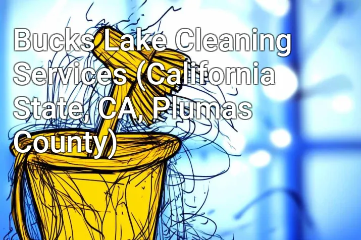 Bucks Lake Cleaning Services (California State, CA, Plumas County)