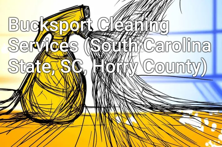 Bucksport Cleaning Services (South Carolina State, SC, Horry County)