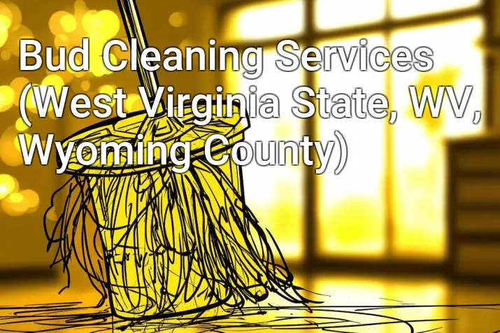 Bud Cleaning Services (West Virginia State, WV, Wyoming County)