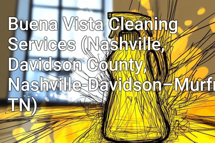 Buena Vista Cleaning Services (Nashville, Davidson County, Nashville-Davidson–Murfreesboro–Franklin, TN)