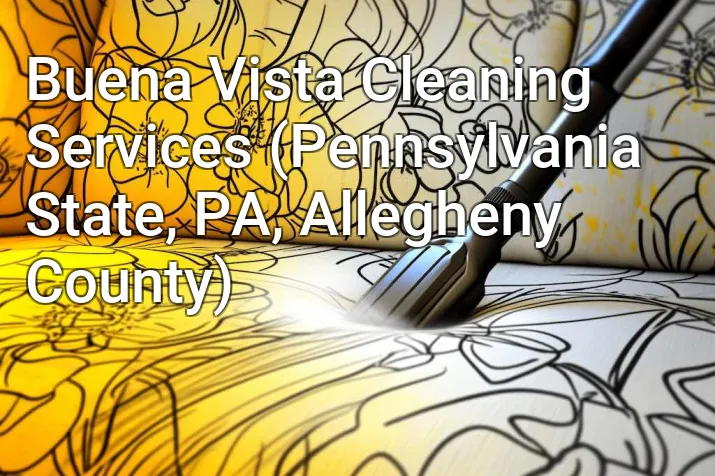 Buena Vista Cleaning Services (Pennsylvania State, PA, Allegheny County)