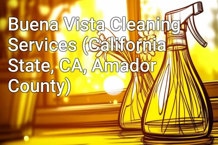 Buena Vista Cleaning Services (California State, CA, Amador County)