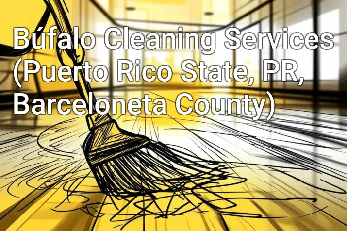 Búfalo Cleaning Services (Puerto Rico State, PR, Barceloneta County)
